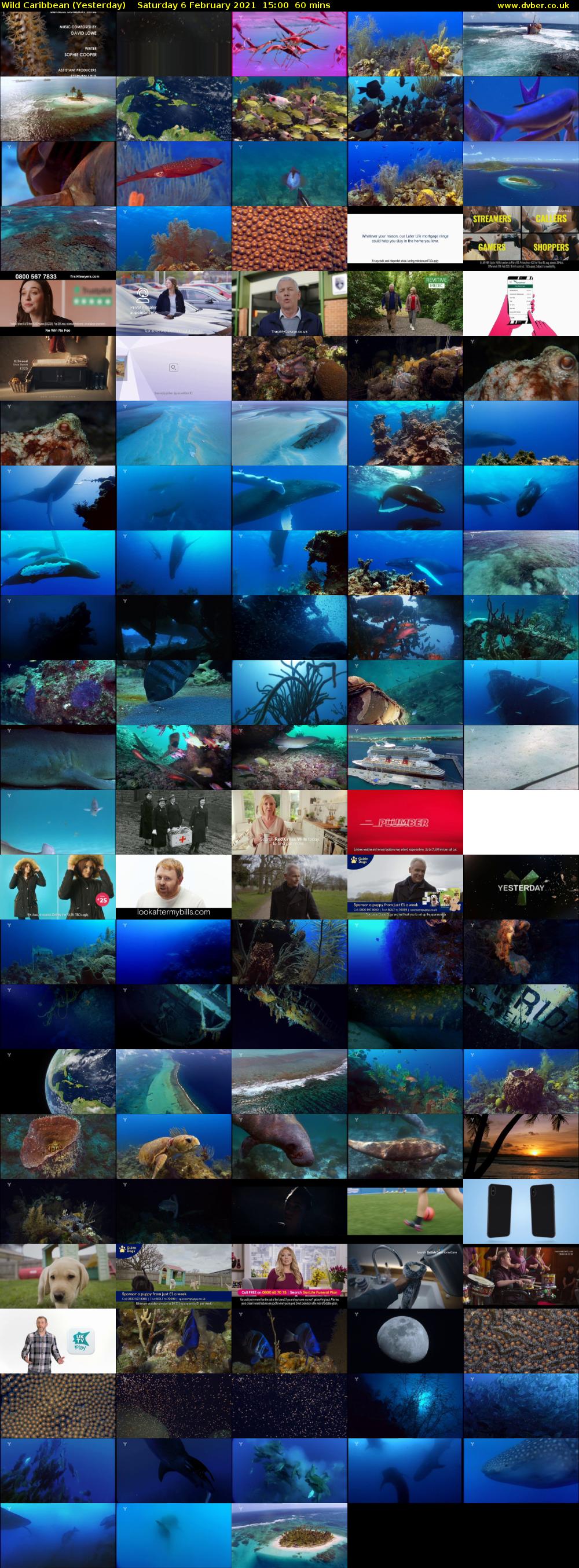 Wild Caribbean (Yesterday) Saturday 6 February 2021 15:00 - 16:00