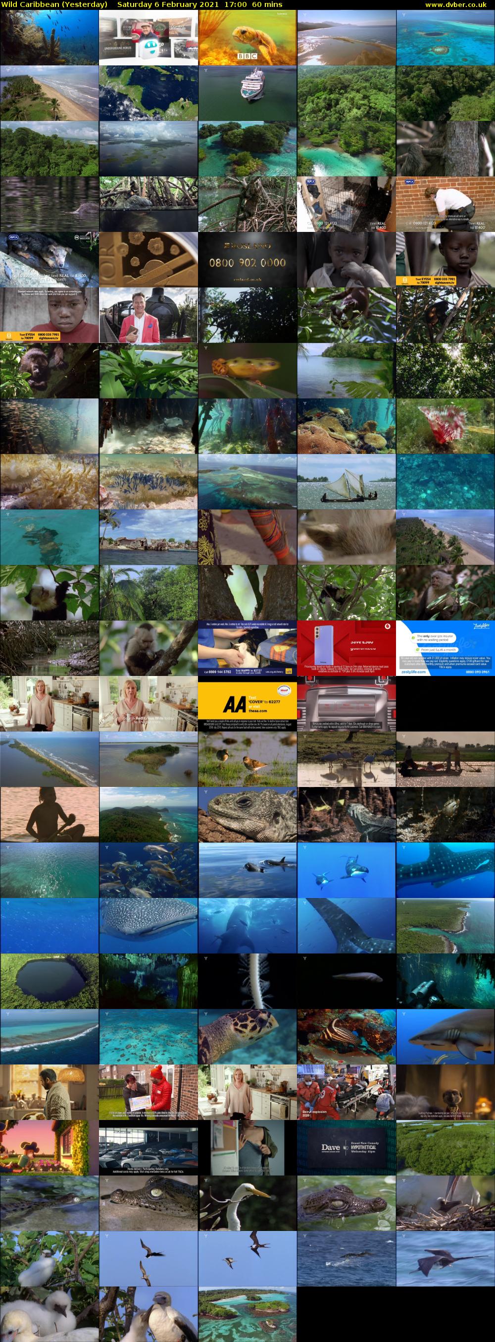 Wild Caribbean (Yesterday) Saturday 6 February 2021 17:00 - 18:00