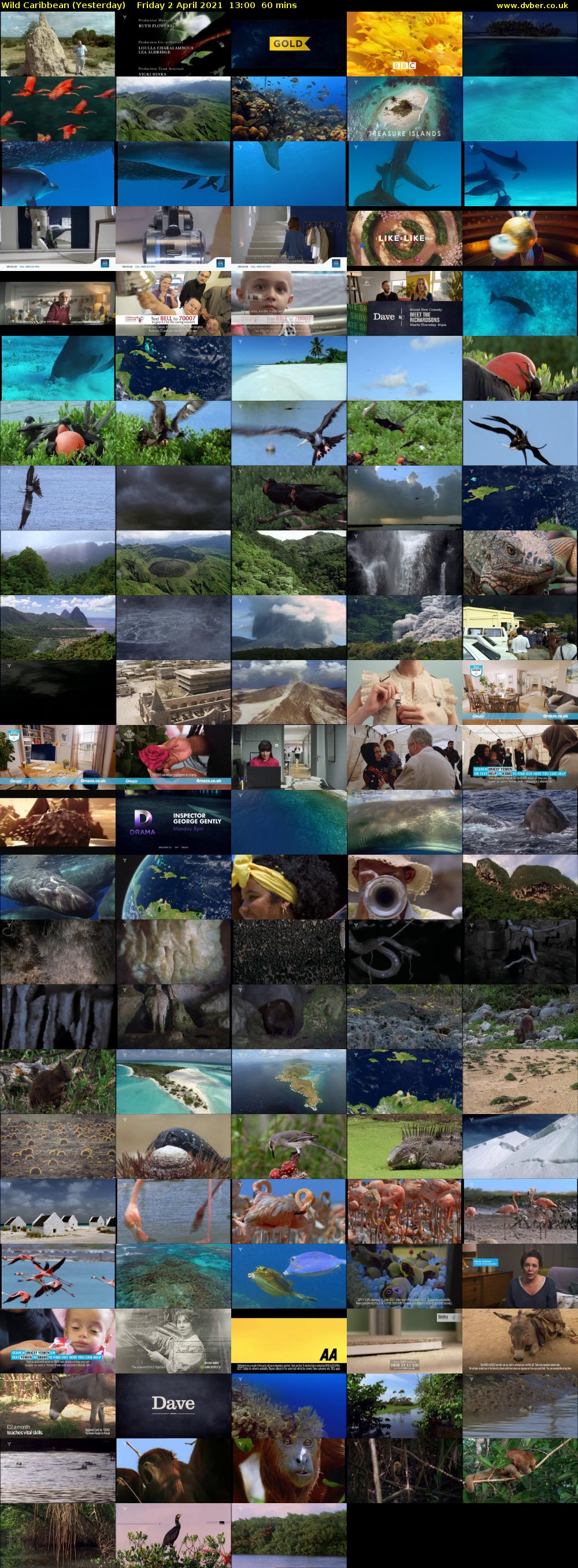 Wild Caribbean (Yesterday) Friday 2 April 2021 13:00 - 14:00