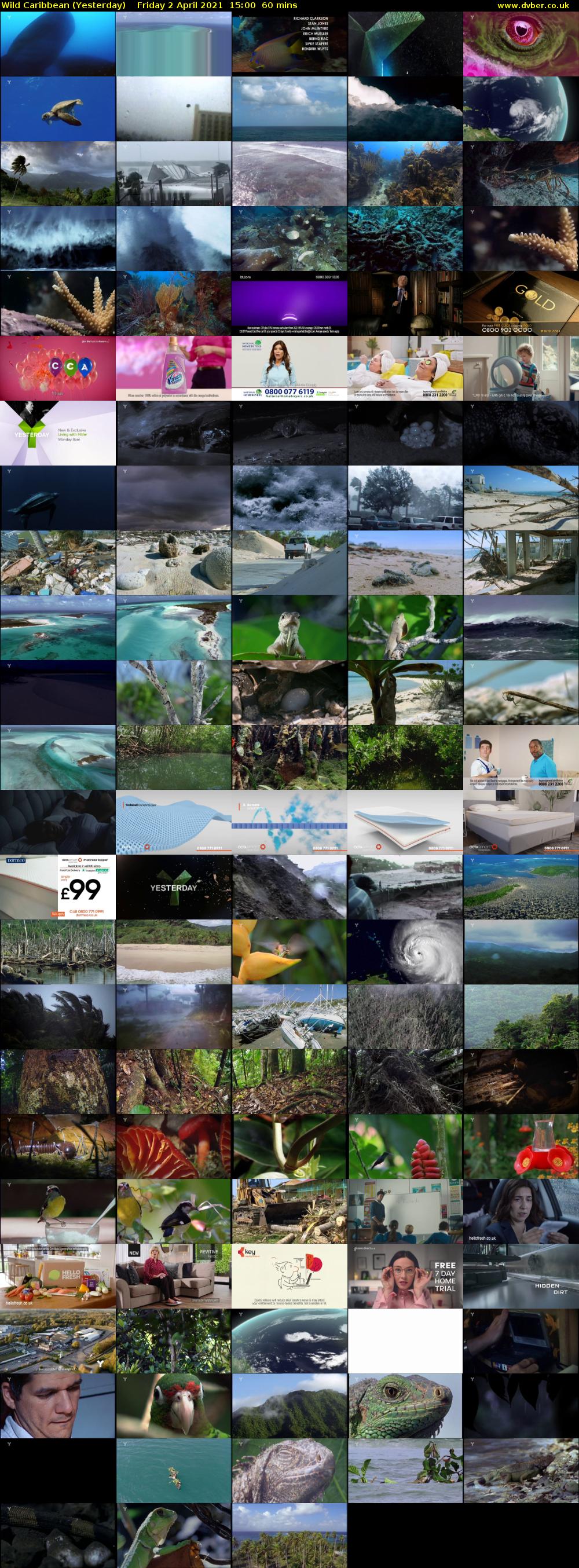 Wild Caribbean (Yesterday) Friday 2 April 2021 15:00 - 16:00
