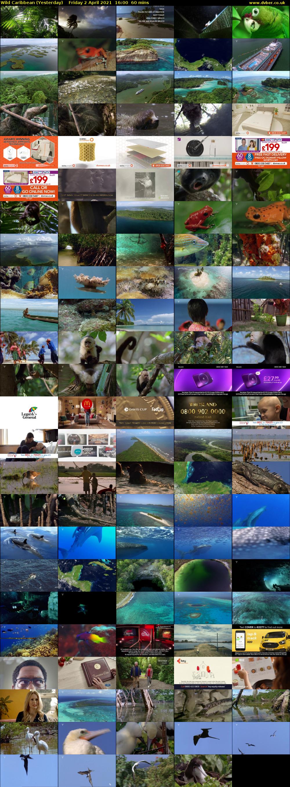 Wild Caribbean (Yesterday) Friday 2 April 2021 16:00 - 17:00