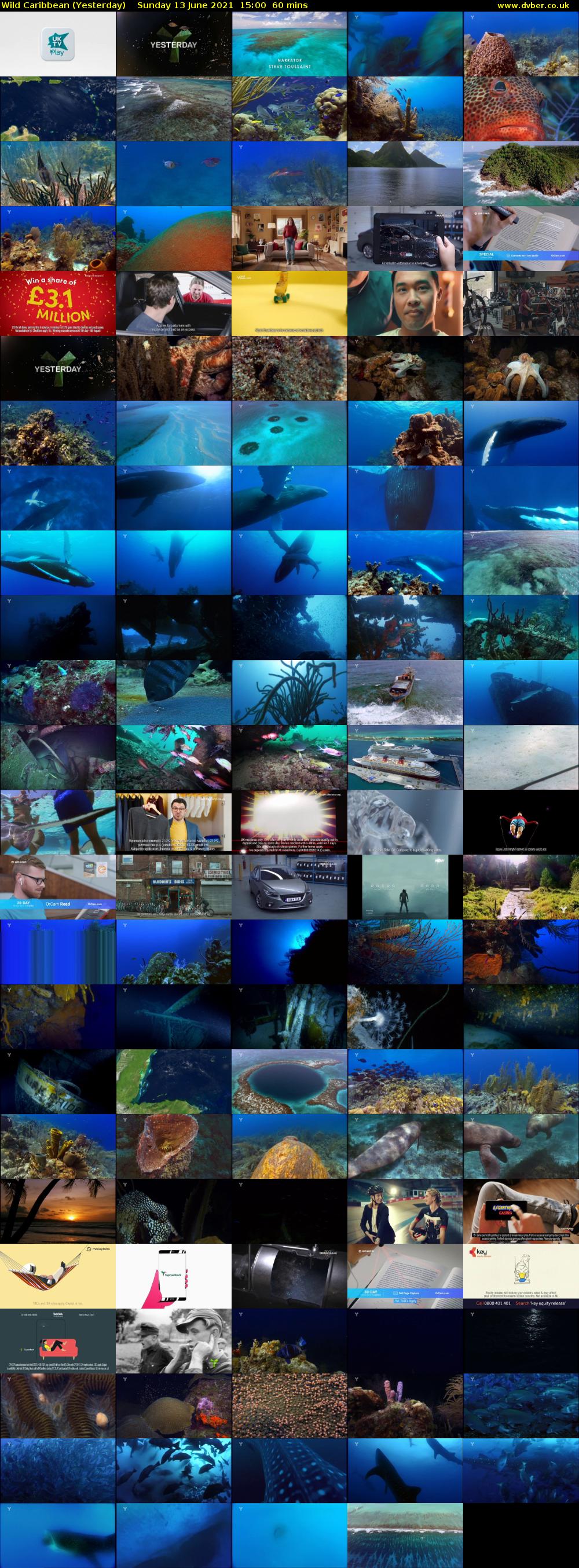 Wild Caribbean (Yesterday) Sunday 13 June 2021 15:00 - 16:00