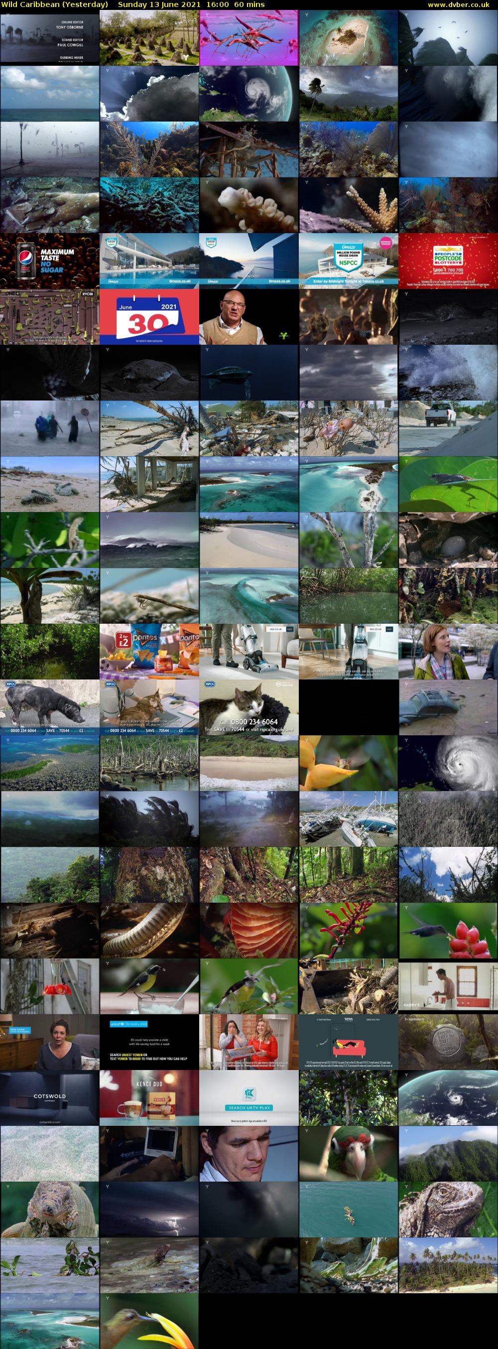 Wild Caribbean (Yesterday) Sunday 13 June 2021 16:00 - 17:00