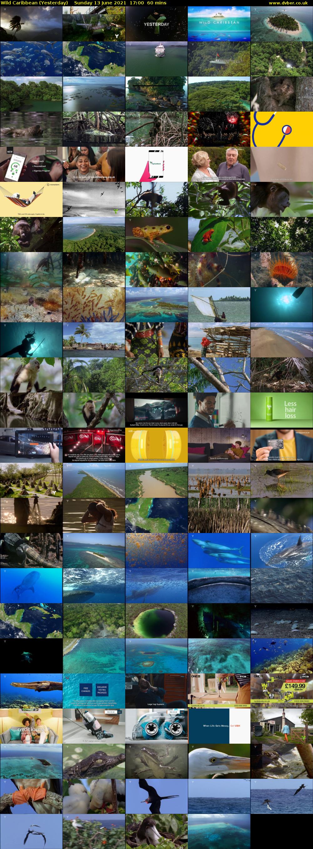 Wild Caribbean (Yesterday) Sunday 13 June 2021 17:00 - 18:00