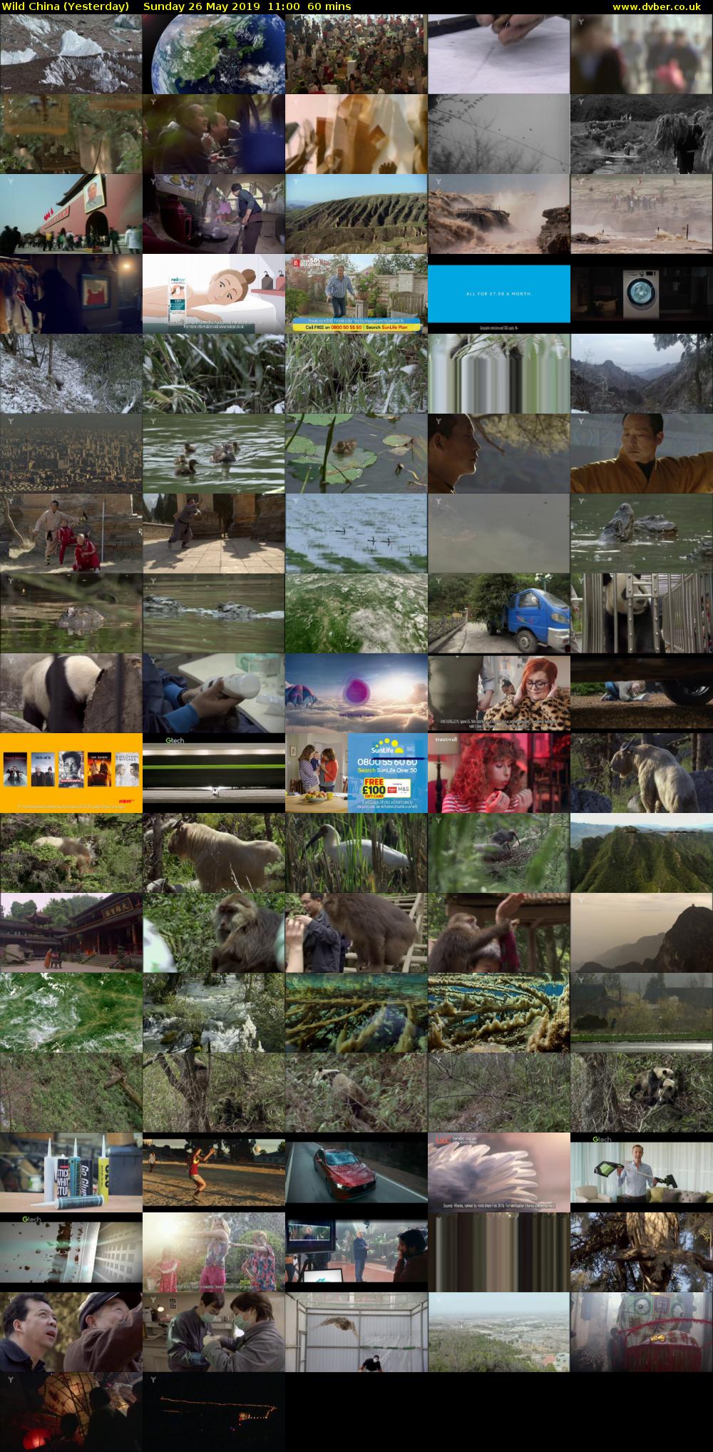 Wild China (Yesterday) Sunday 26 May 2019 11:00 - 12:00