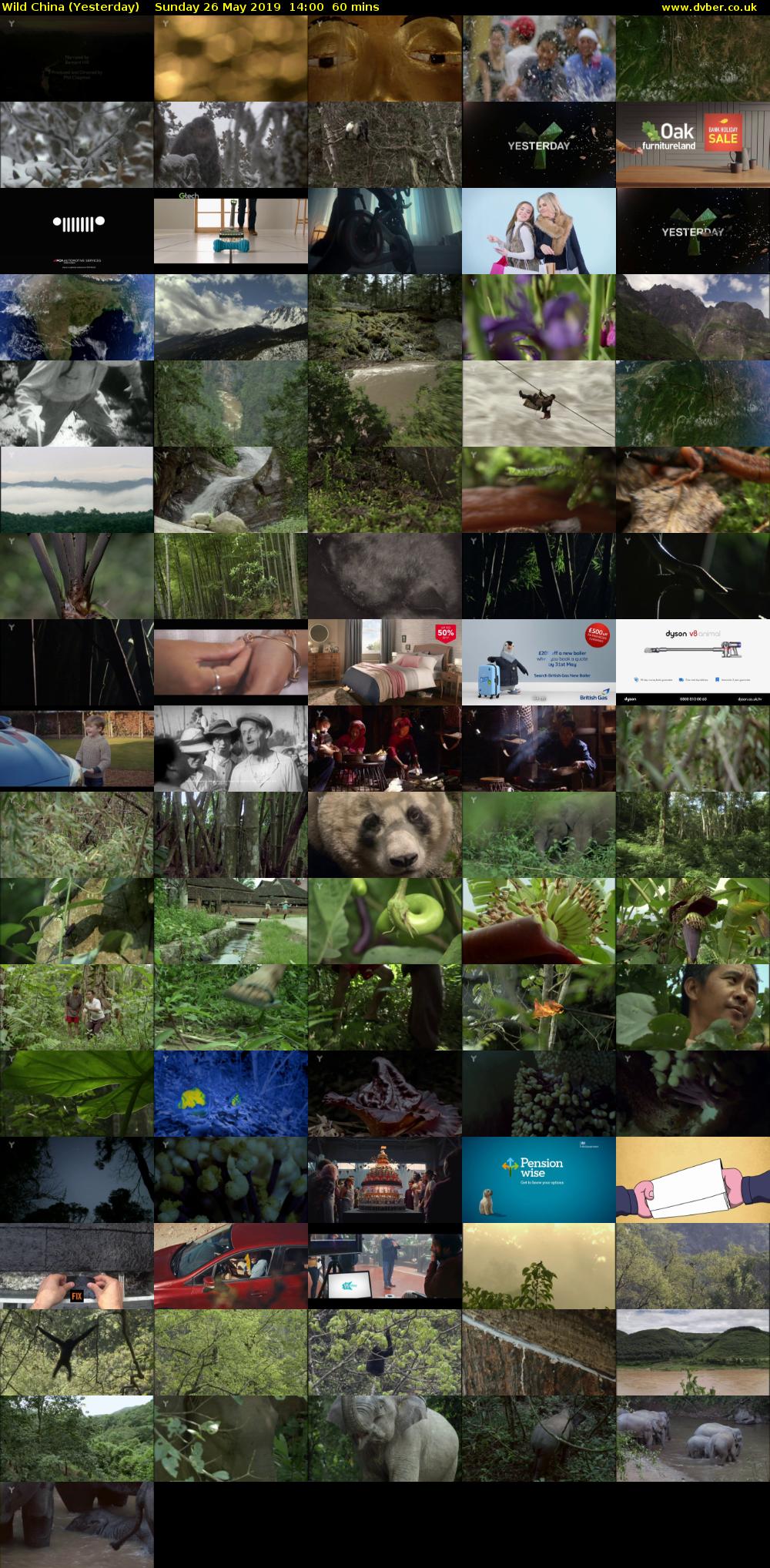 Wild China (Yesterday) Sunday 26 May 2019 14:00 - 15:00