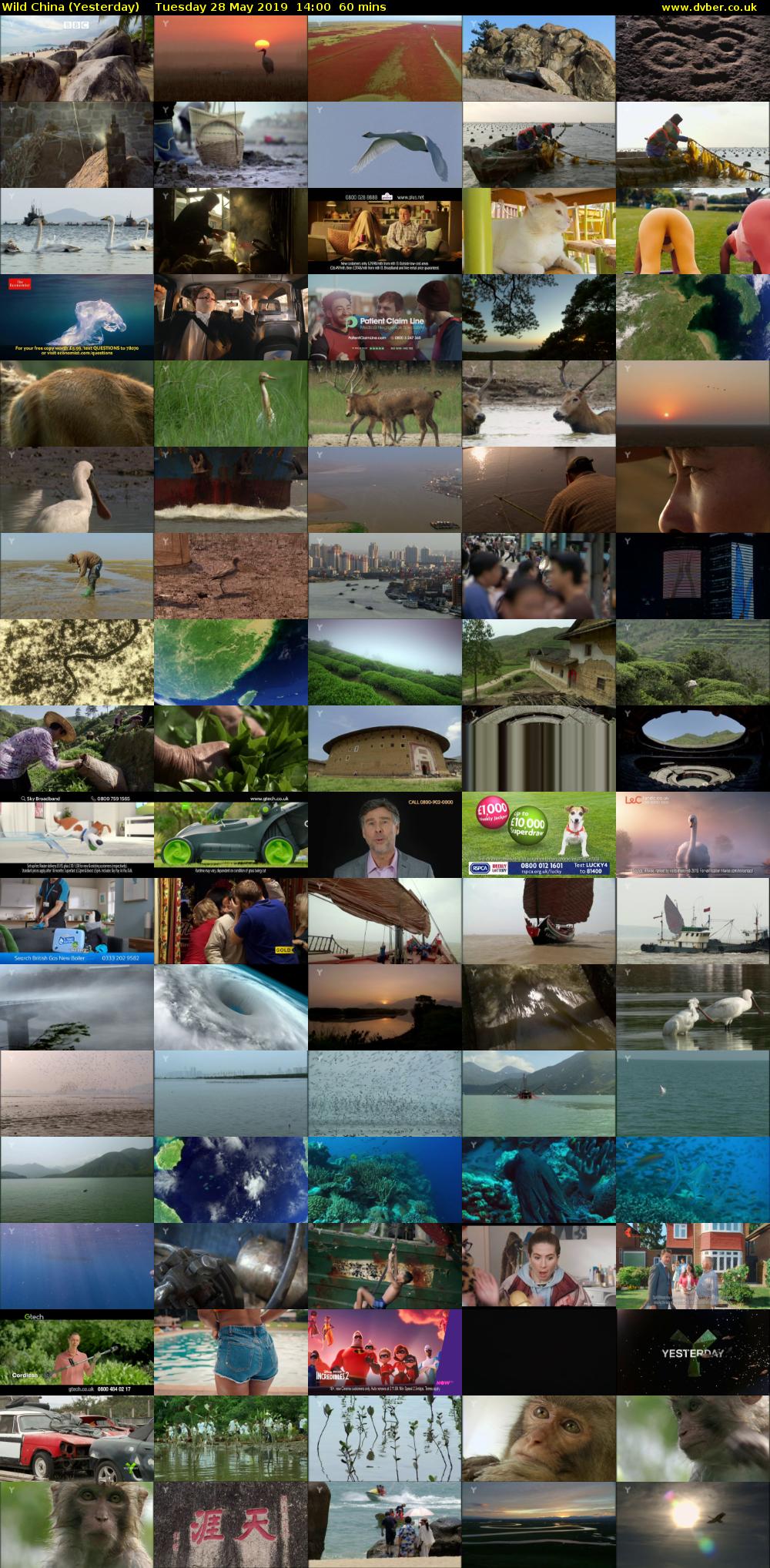 Wild China (Yesterday) Tuesday 28 May 2019 14:00 - 15:00