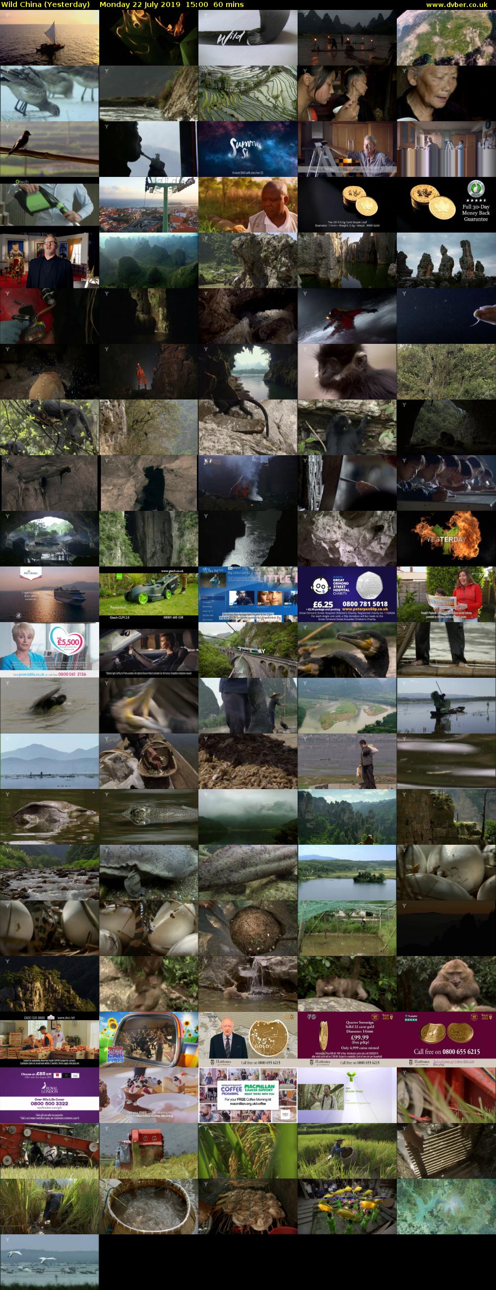 Wild China (Yesterday) Monday 22 July 2019 15:00 - 16:00
