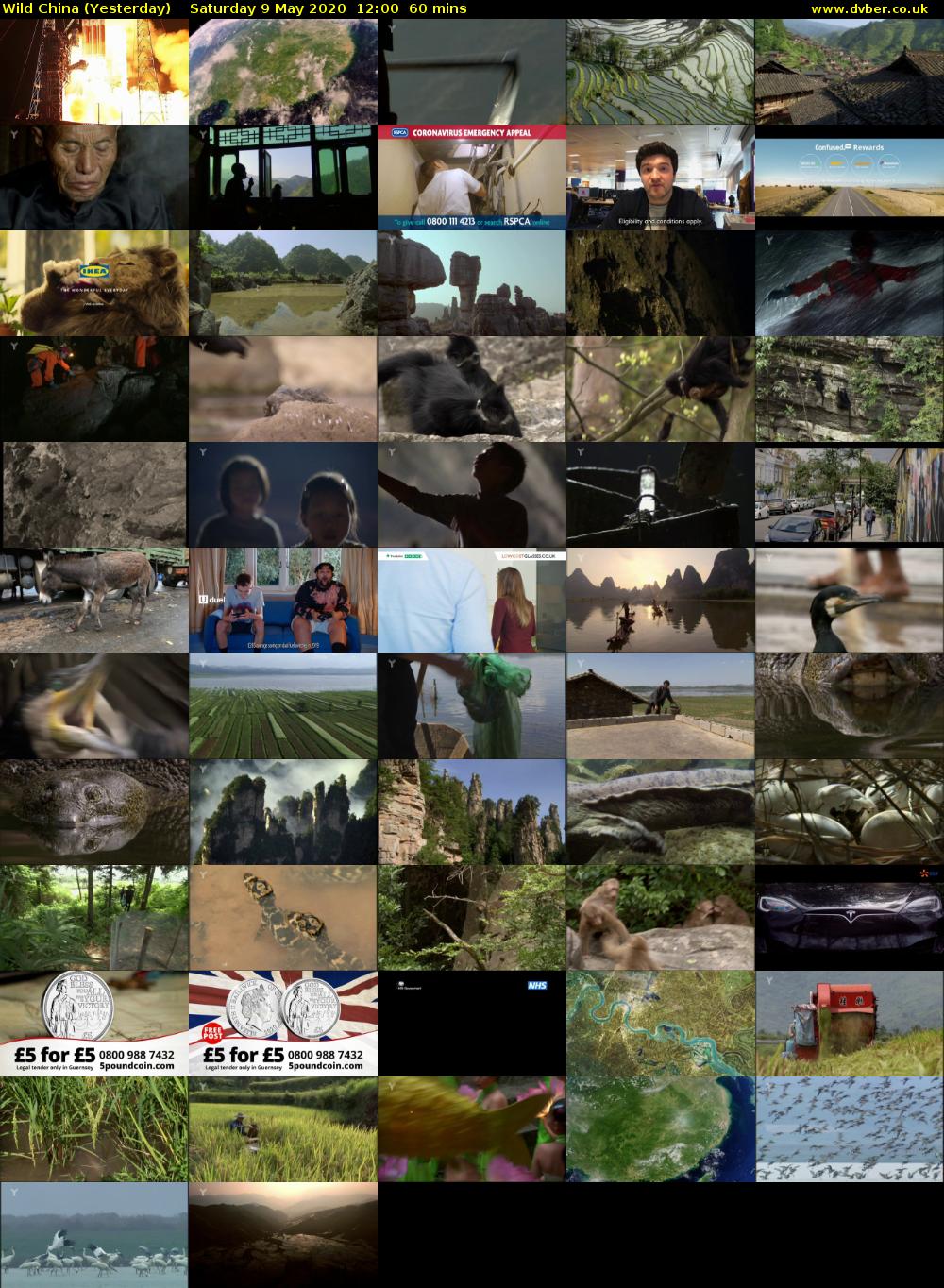 Wild China (Yesterday) Saturday 9 May 2020 12:00 - 13:00