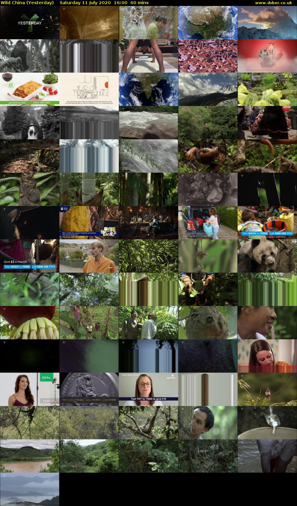 Wild China (Yesterday) Saturday 11 July 2020 16:00 - 17:00