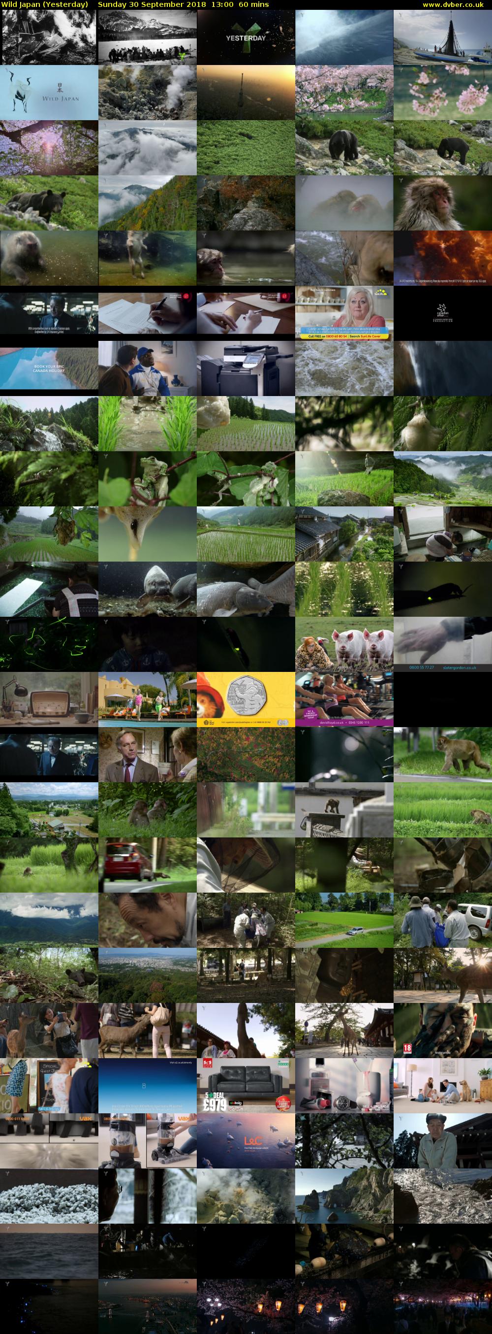 Wild Japan (Yesterday) Sunday 30 September 2018 13:00 - 14:00