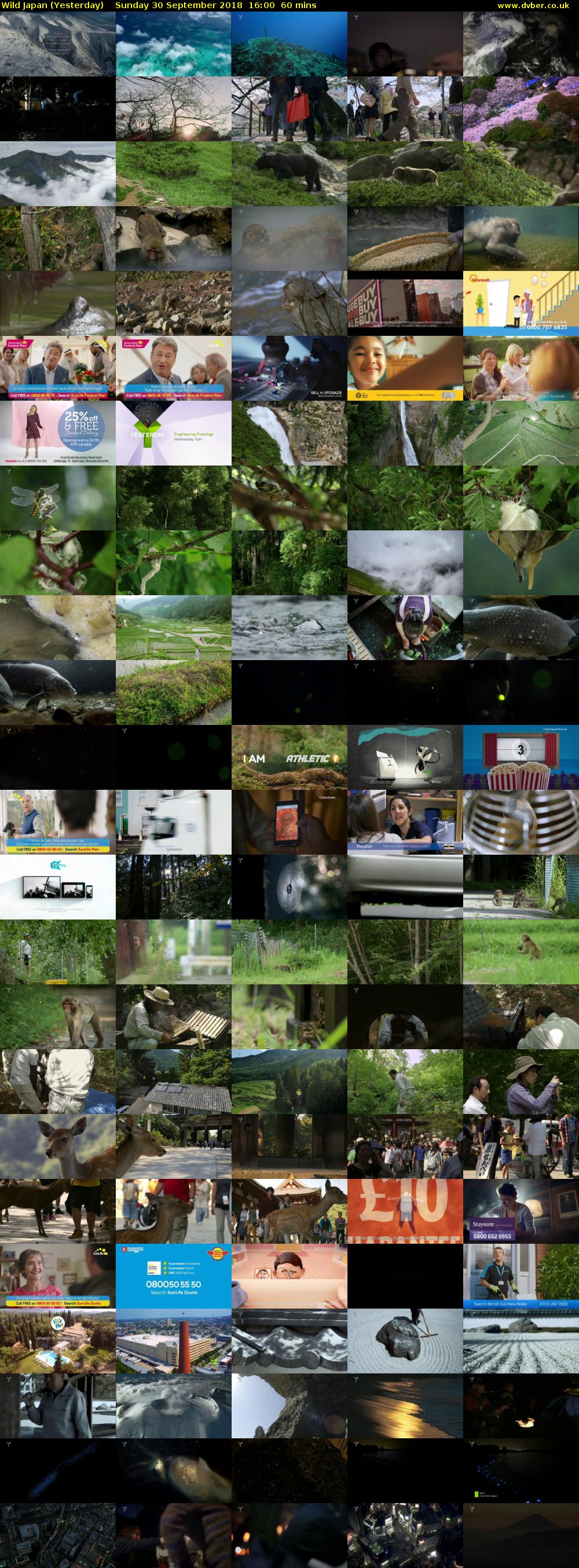 Wild Japan (Yesterday) Sunday 30 September 2018 16:00 - 17:00