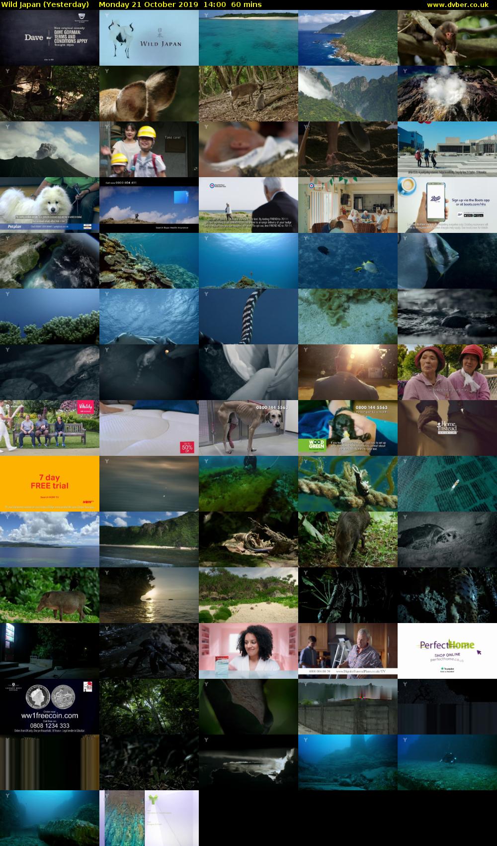 Wild Japan (Yesterday) Monday 21 October 2019 14:00 - 15:00