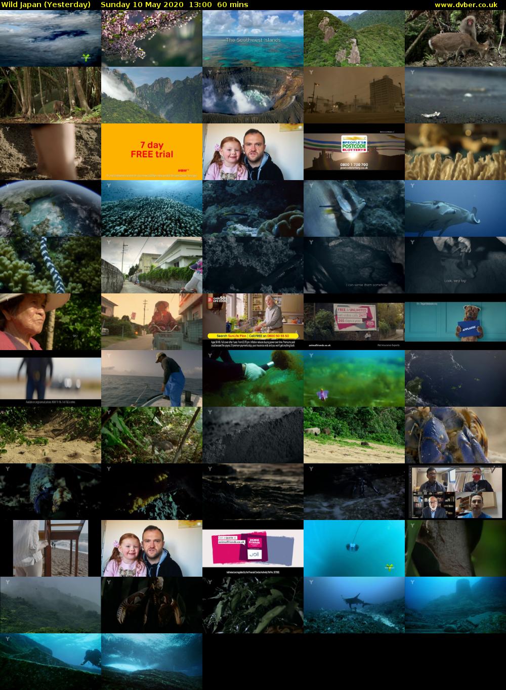 Wild Japan (Yesterday) Sunday 10 May 2020 13:00 - 14:00
