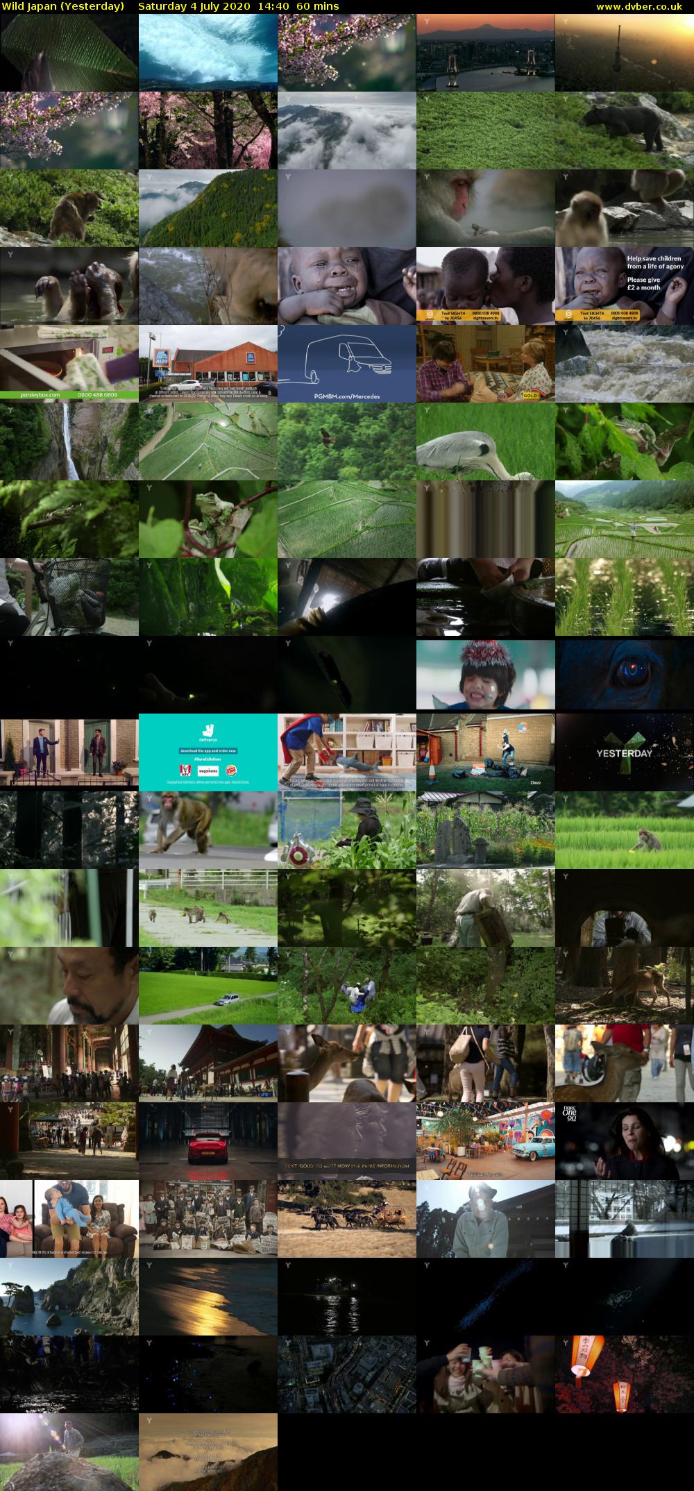 Wild Japan (Yesterday) Saturday 4 July 2020 14:40 - 15:40
