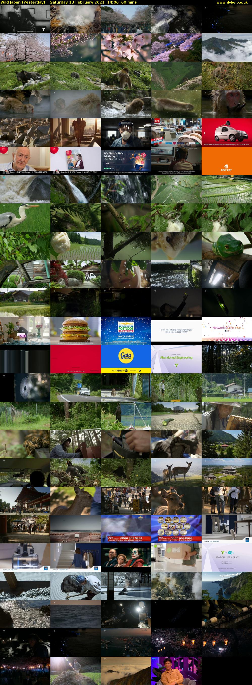 Wild Japan (Yesterday) Saturday 13 February 2021 14:00 - 15:00