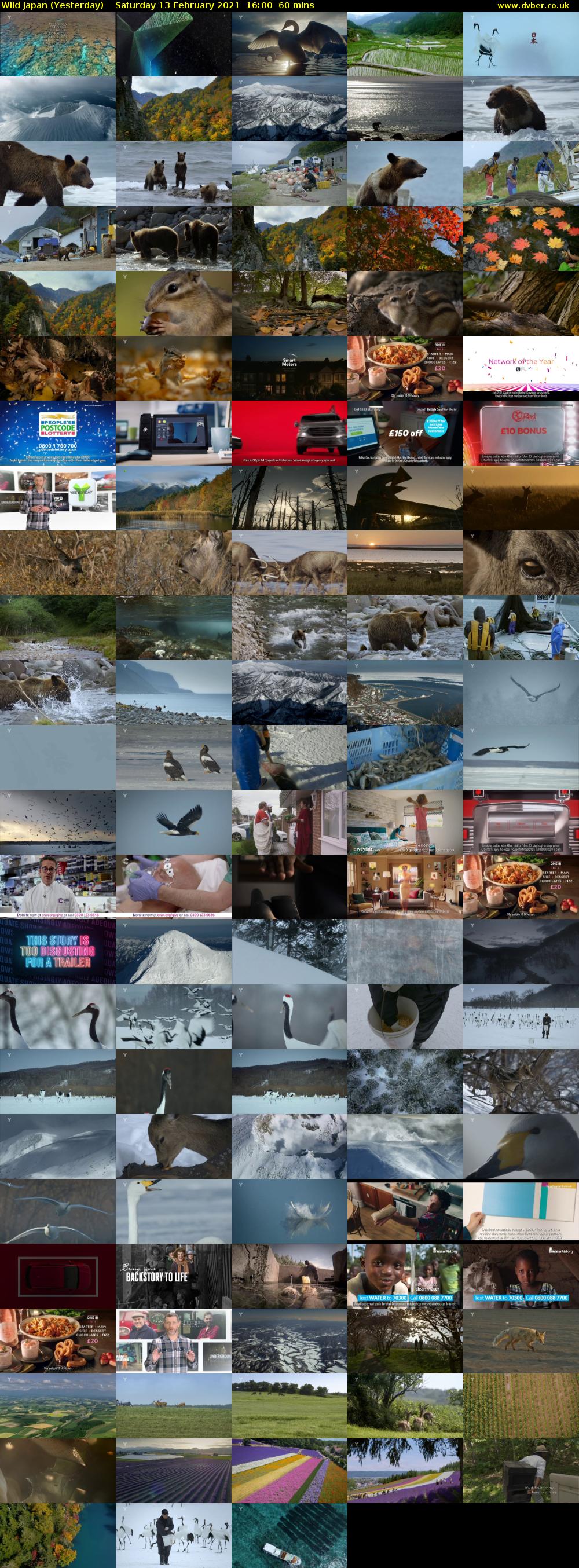 Wild Japan (Yesterday) Saturday 13 February 2021 16:00 - 17:00
