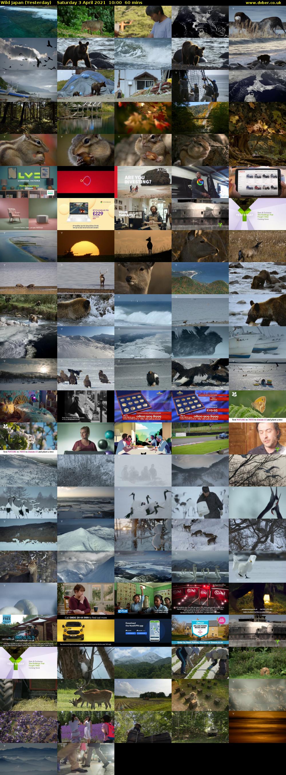 Wild Japan (Yesterday) Saturday 3 April 2021 10:00 - 11:00
