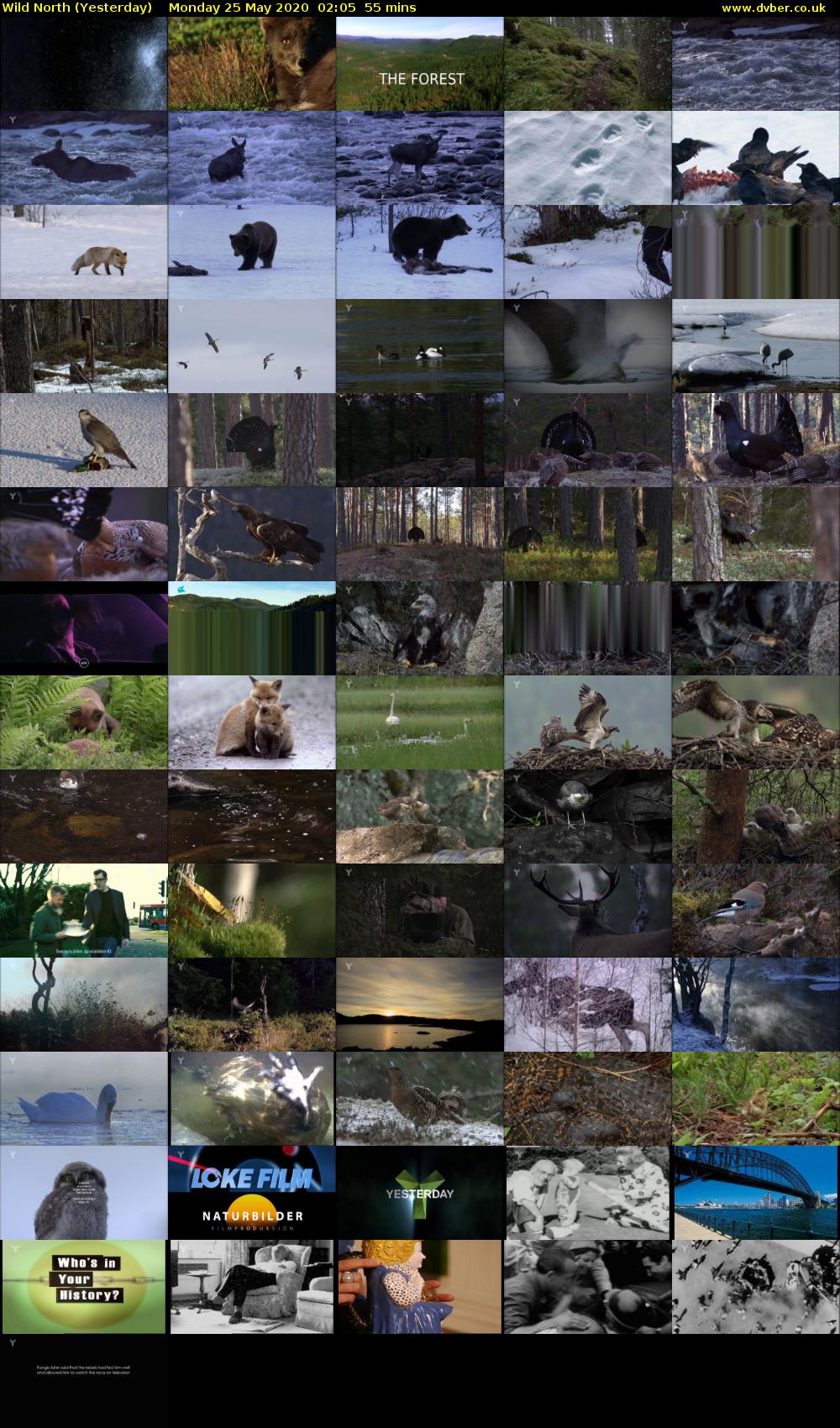 Wild North (Yesterday) Monday 25 May 2020 02:05 - 03:00