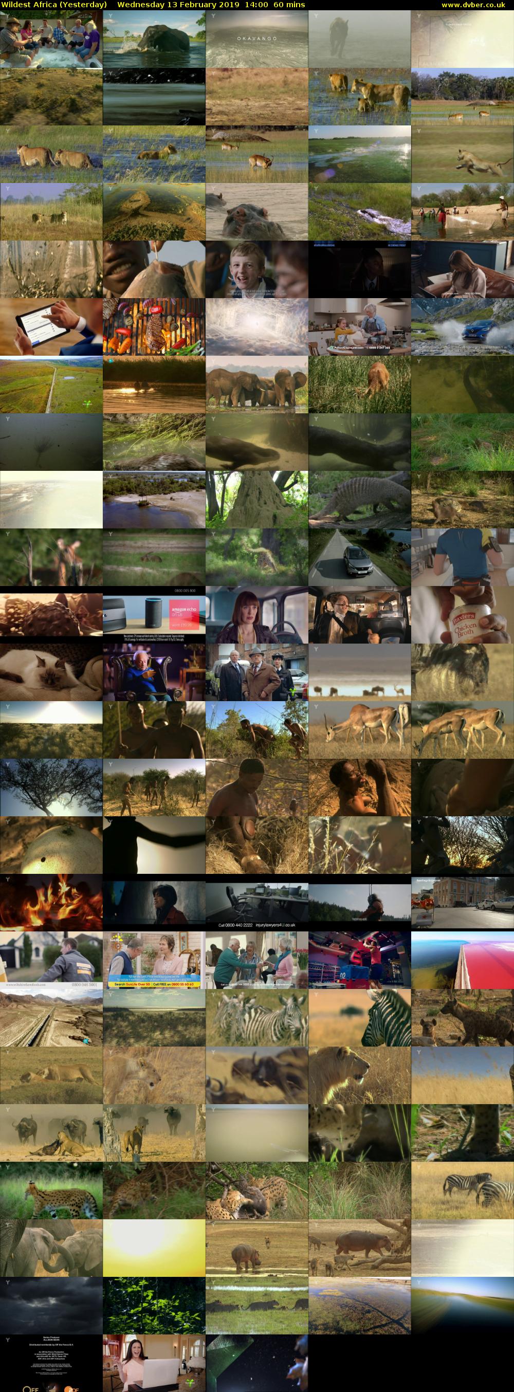 Wildest Africa (Yesterday) Wednesday 13 February 2019 14:00 - 15:00