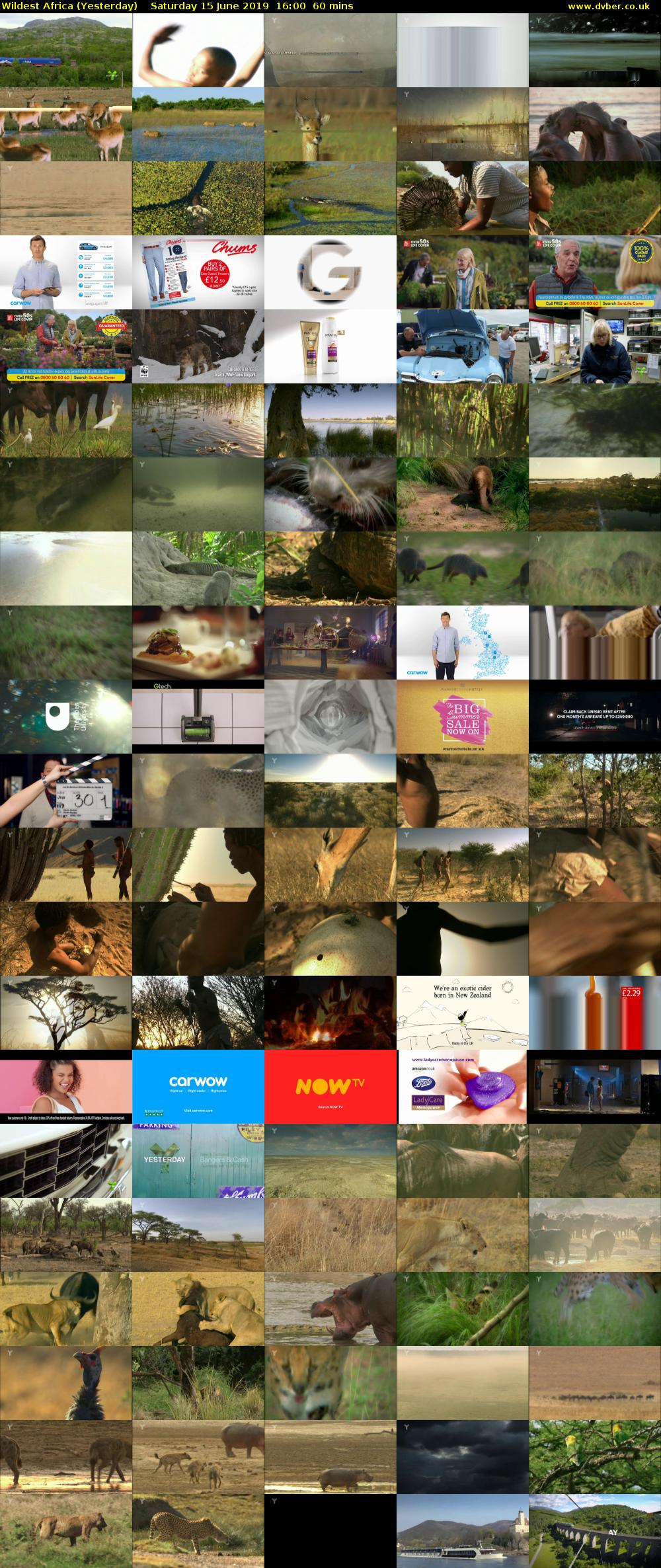 Wildest Africa (Yesterday) Saturday 15 June 2019 16:00 - 17:00