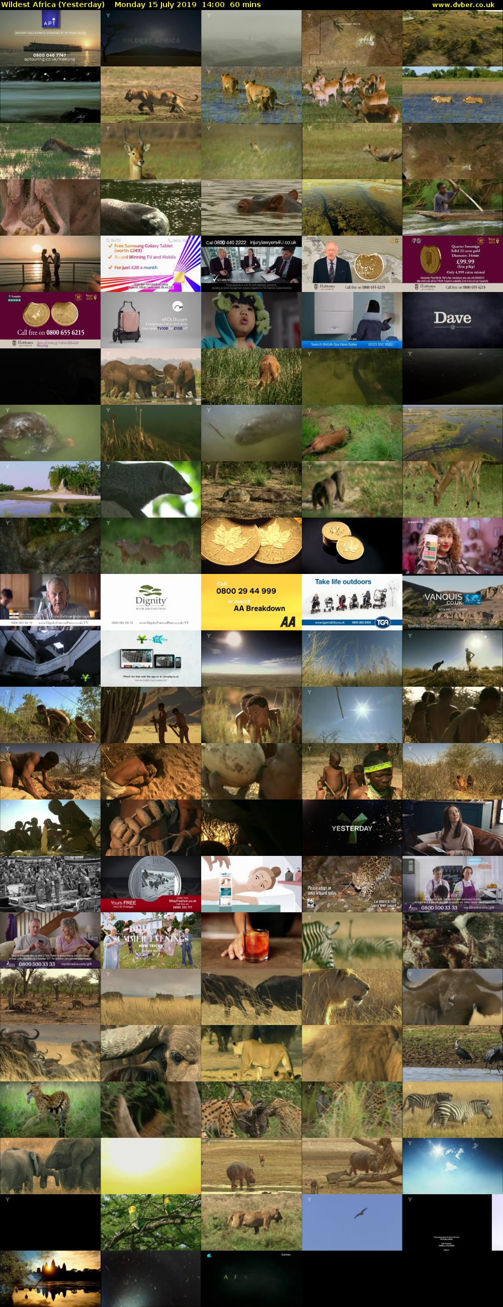 Wildest Africa (Yesterday) Monday 15 July 2019 14:00 - 15:00