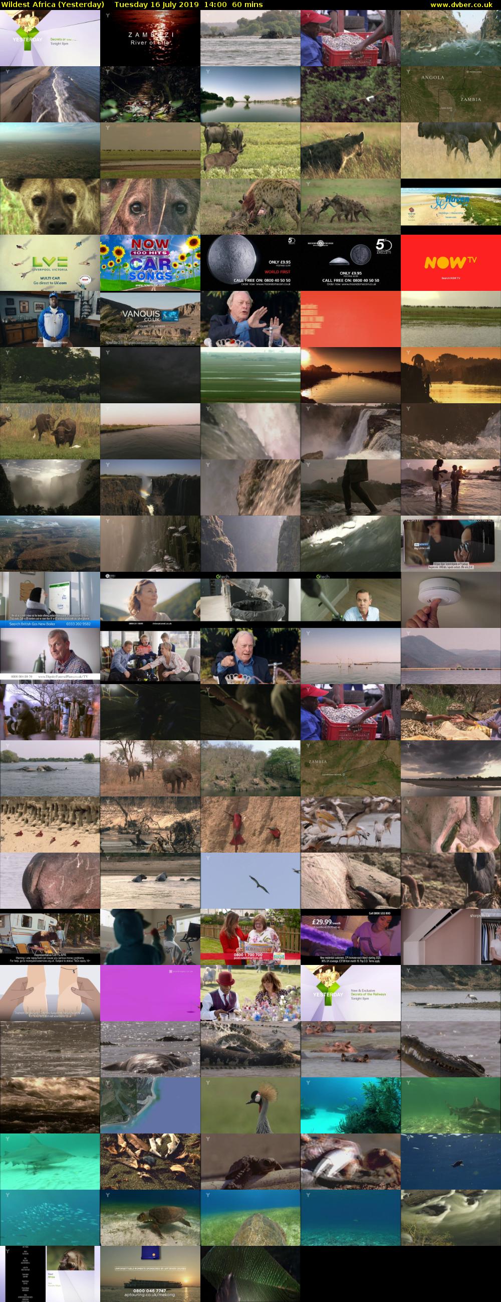 Wildest Africa (Yesterday) Tuesday 16 July 2019 14:00 - 15:00