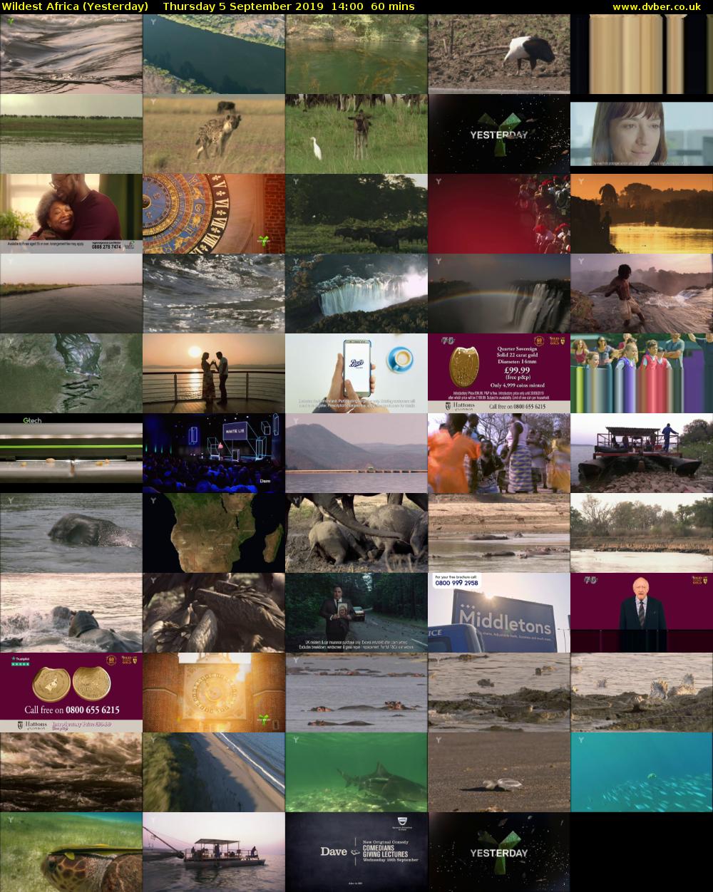 Wildest Africa (Yesterday) Thursday 5 September 2019 14:00 - 15:00