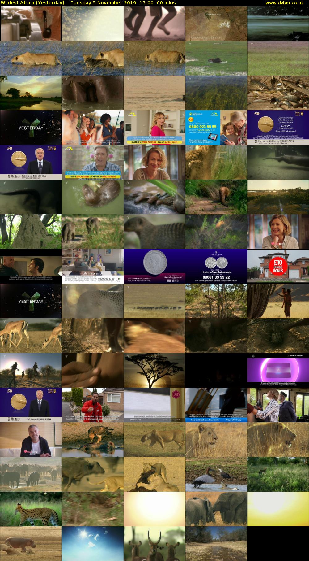 Wildest Africa (Yesterday) Tuesday 5 November 2019 15:00 - 16:00