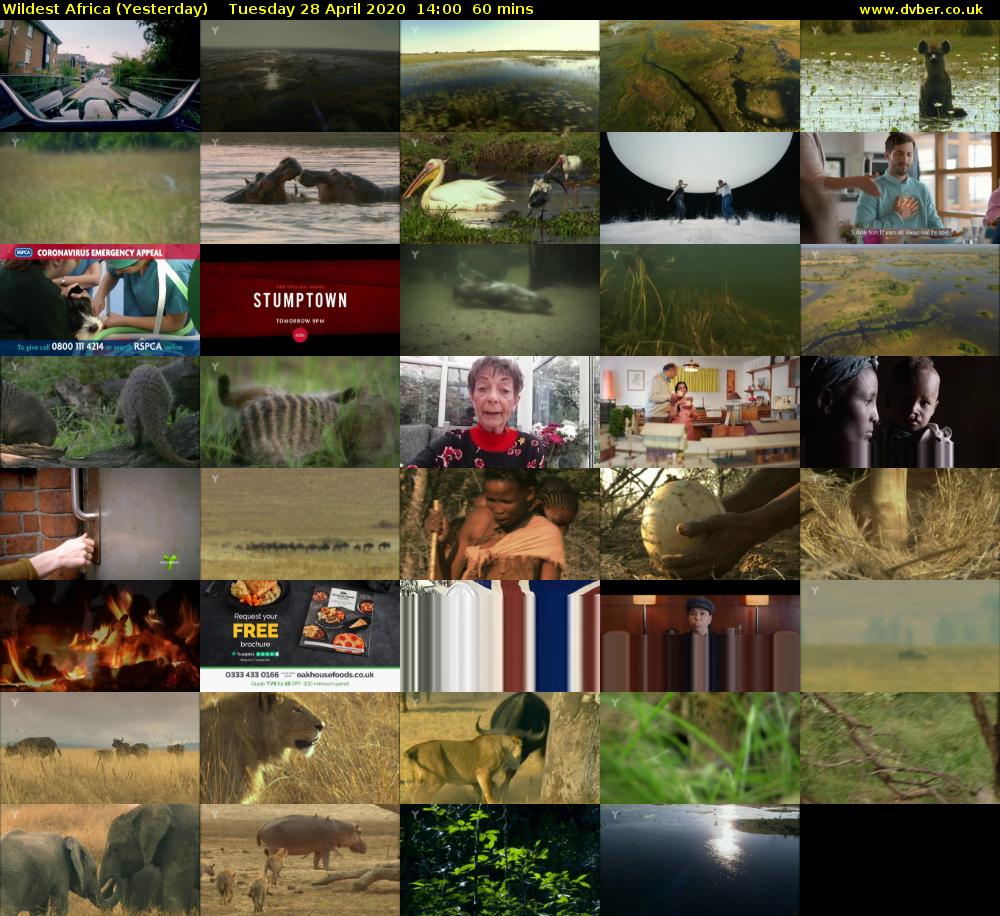 Wildest Africa (Yesterday) Tuesday 28 April 2020 14:00 - 15:00