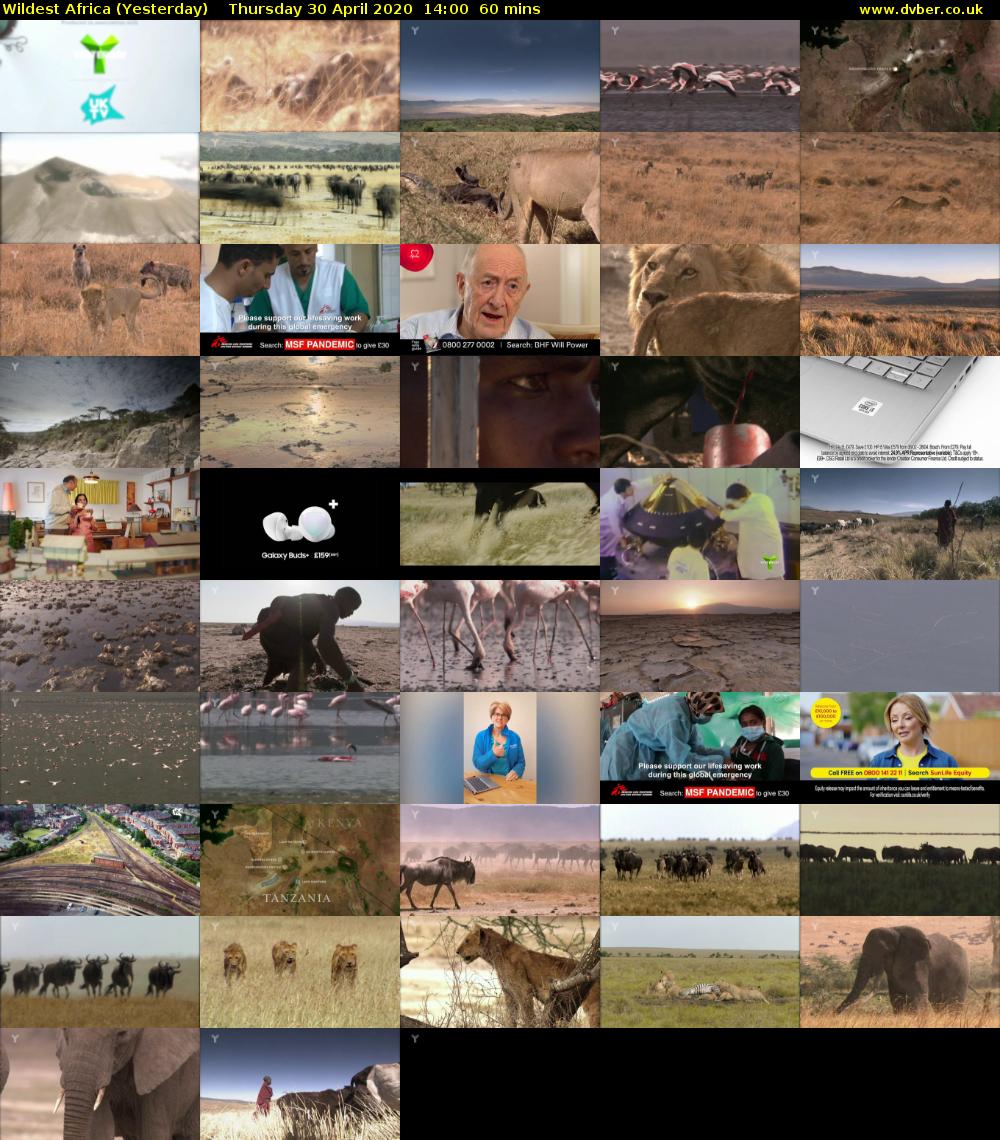 Wildest Africa (Yesterday) Thursday 30 April 2020 14:00 - 15:00