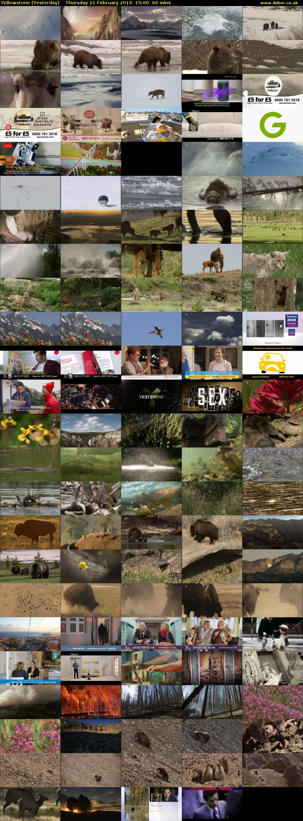 Yellowstone (Yesterday) Thursday 21 February 2019 15:00 - 16:00