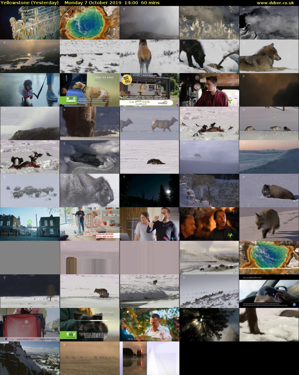 Yellowstone (Yesterday) Monday 7 October 2019 14:00 - 15:00