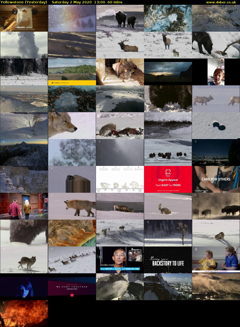 Yellowstone (Yesterday) Saturday 2 May 2020 13:00 - 14:00