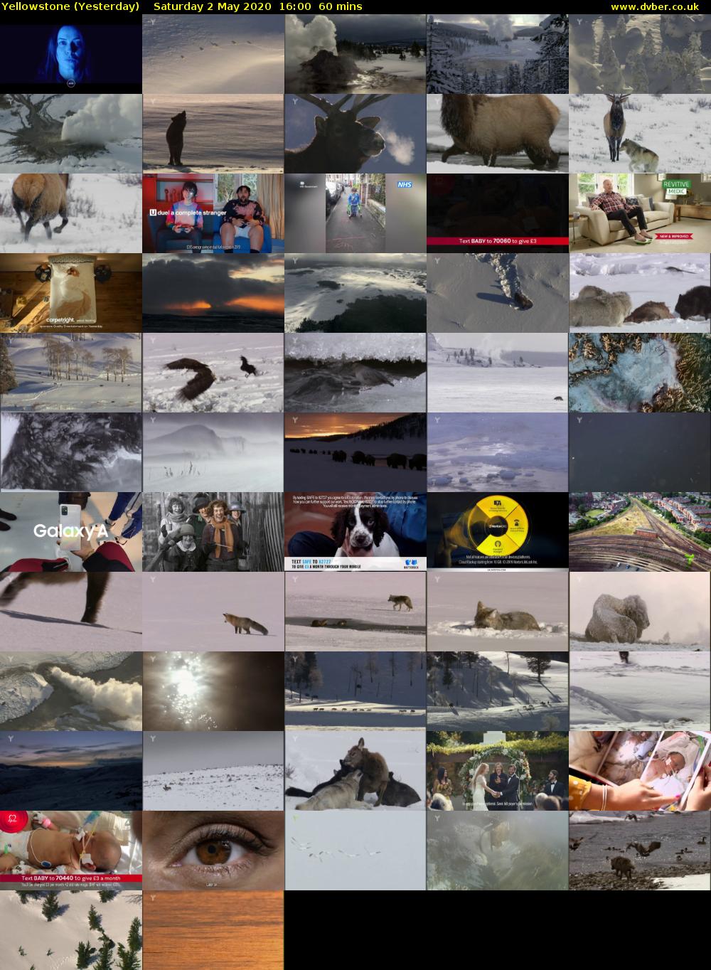 Yellowstone (Yesterday) Saturday 2 May 2020 16:00 - 17:00