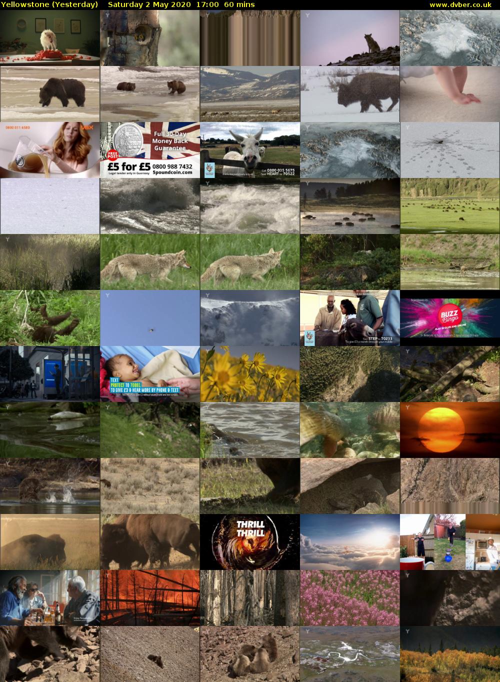 Yellowstone (Yesterday) Saturday 2 May 2020 17:00 - 18:00