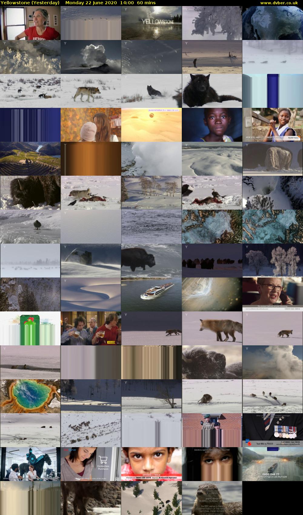 Yellowstone (Yesterday) Monday 22 June 2020 14:00 - 15:00