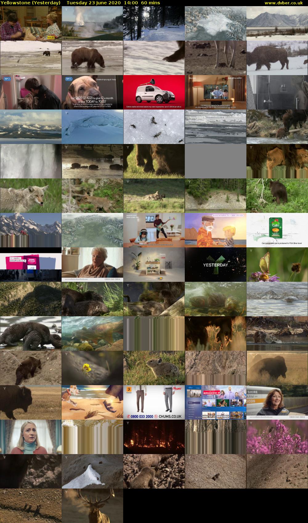 Yellowstone (Yesterday) Tuesday 23 June 2020 14:00 - 15:00