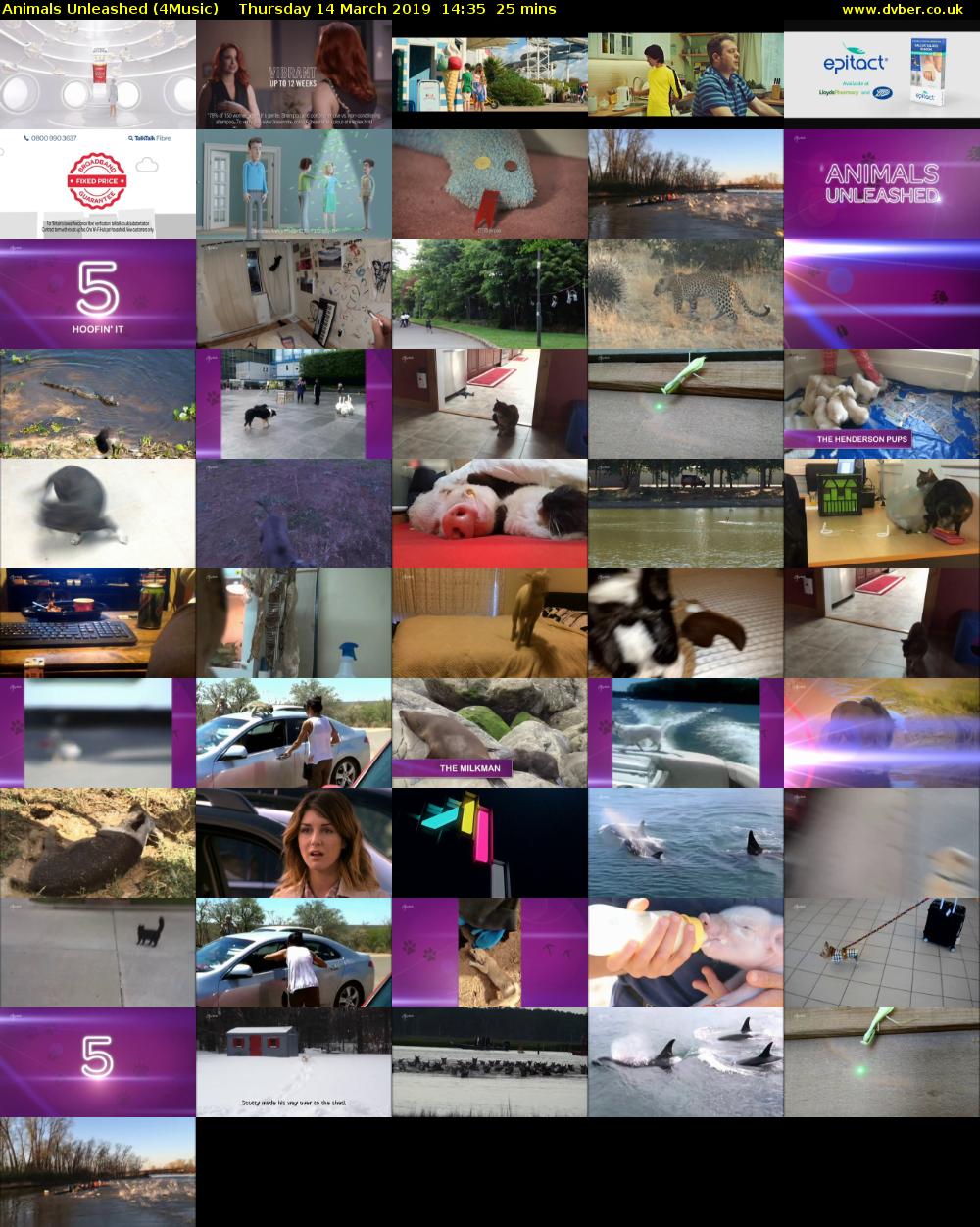 Animals Unleashed (4Music) Thursday 14 March 2019 14:35 - 15:00