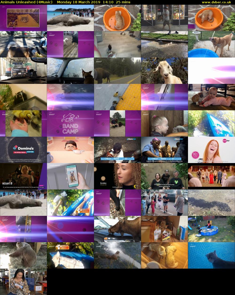 Animals Unleashed (4Music) Monday 18 March 2019 14:10 - 14:35
