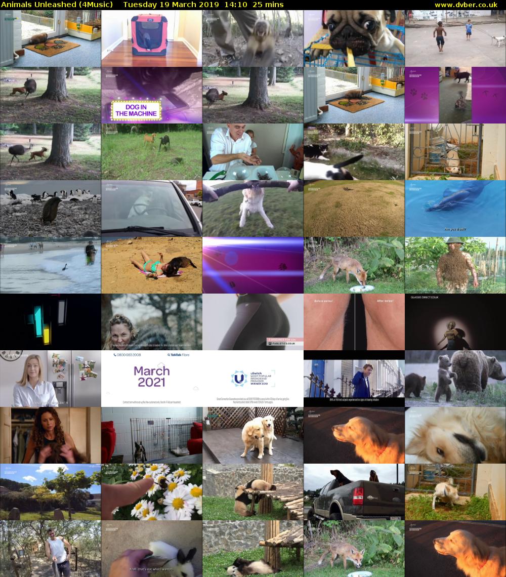 Animals Unleashed (4Music) Tuesday 19 March 2019 14:10 - 14:35