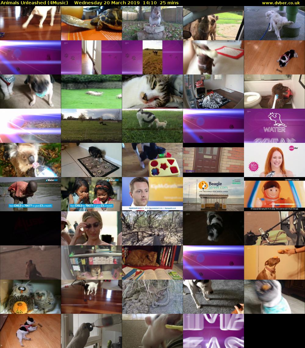 Animals Unleashed (4Music) Wednesday 20 March 2019 14:10 - 14:35