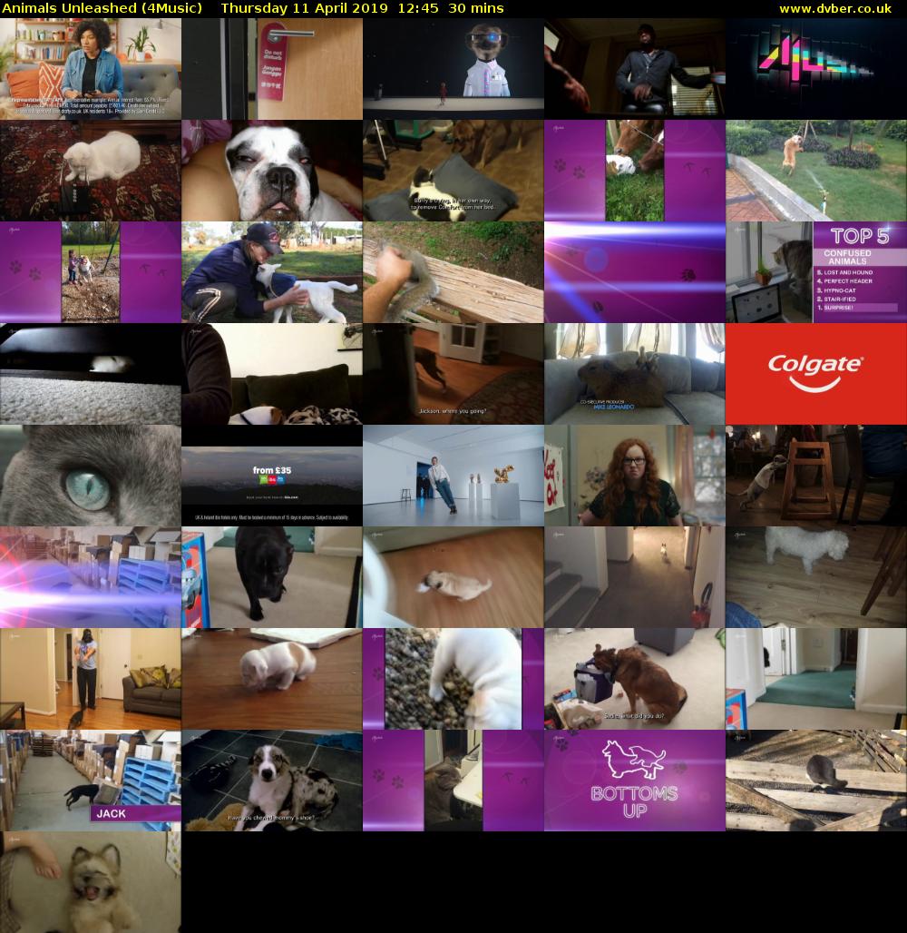 Animals Unleashed (4Music) Thursday 11 April 2019 12:45 - 13:15