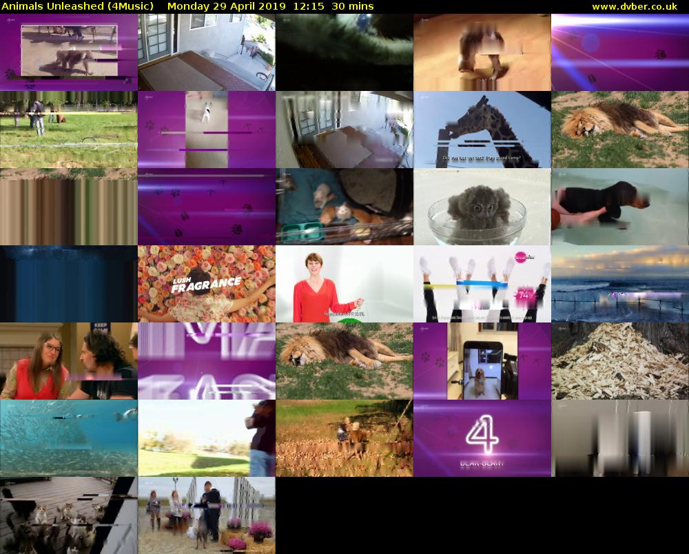 Animals Unleashed (4Music) Monday 29 April 2019 12:15 - 12:45