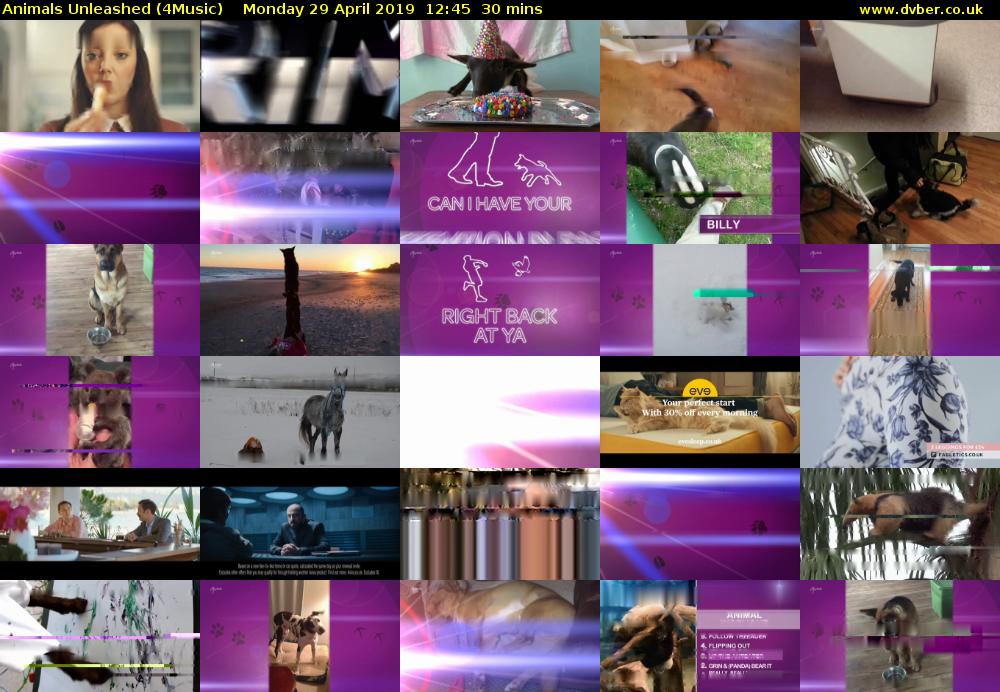 Animals Unleashed (4Music) Monday 29 April 2019 12:45 - 13:15