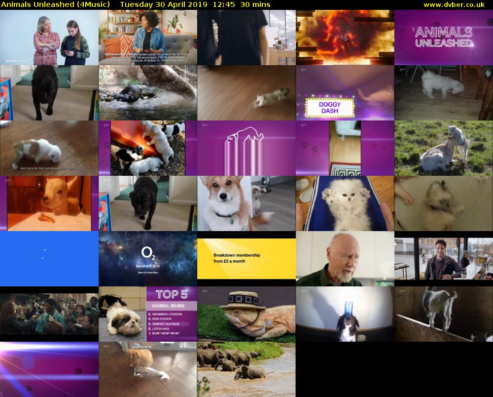 Animals Unleashed (4Music) Tuesday 30 April 2019 12:45 - 13:15