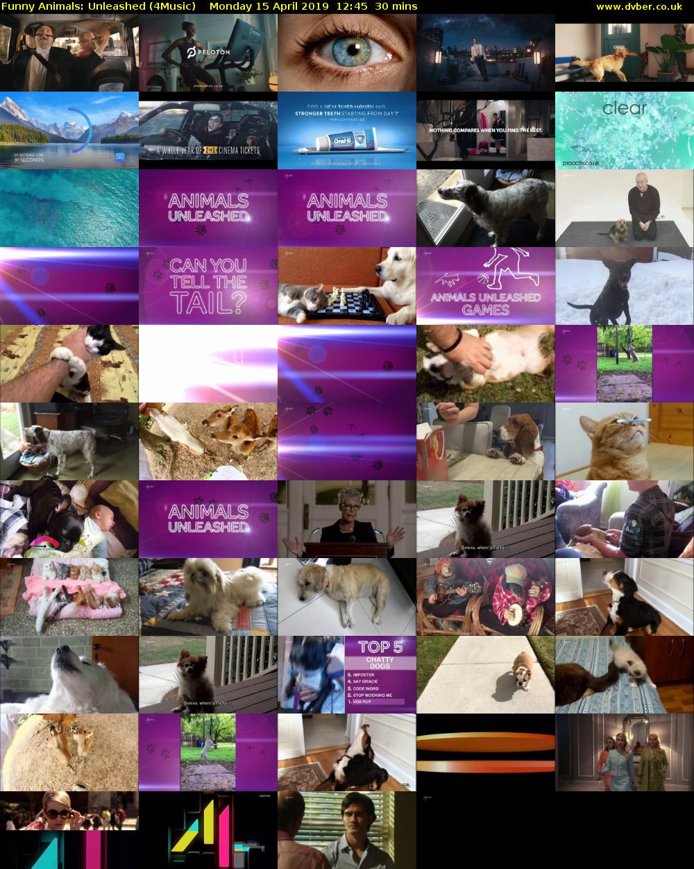 Funny Animals: Unleashed (4Music) Monday 15 April 2019 12:45 - 13:15