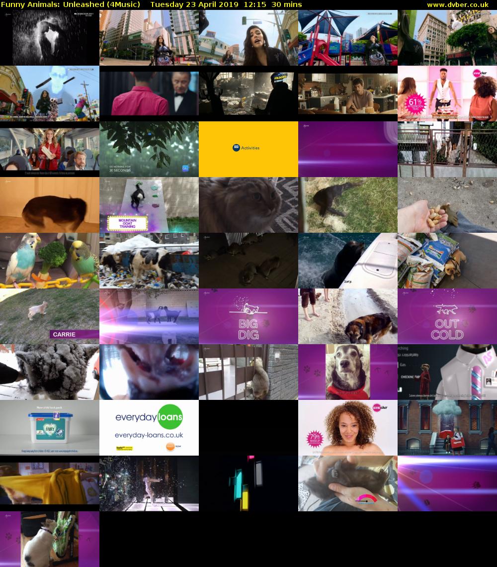 Funny Animals: Unleashed (4Music) Tuesday 23 April 2019 12:15 - 12:45