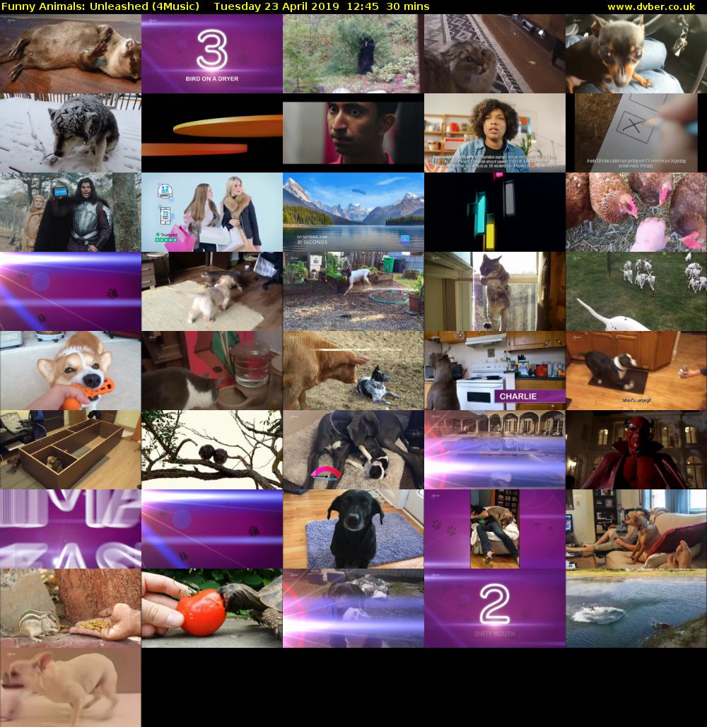 Funny Animals: Unleashed (4Music) Tuesday 23 April 2019 12:45 - 13:15
