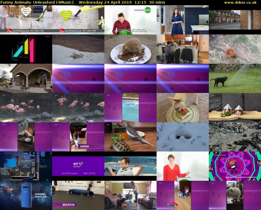 Funny Animals: Unleashed (4Music) Wednesday 24 April 2019 12:15 - 12:45
